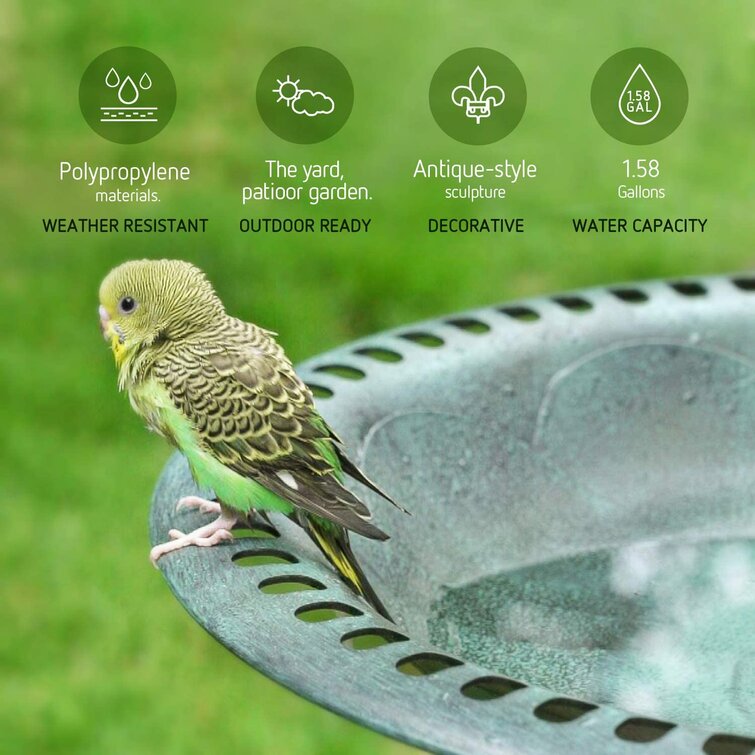 Pet bird bath clearance fountain